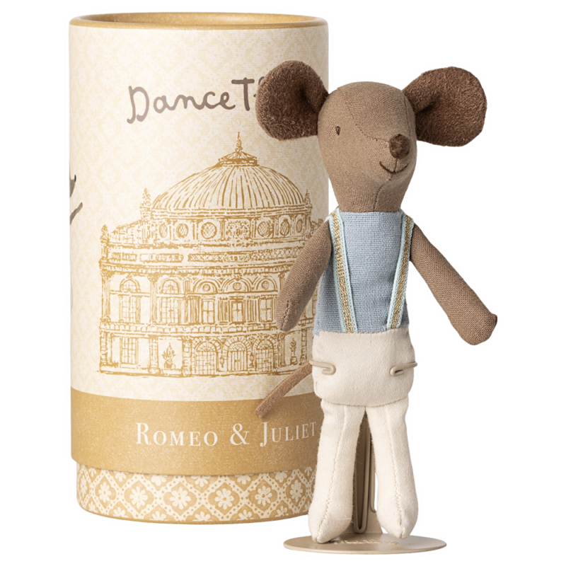 Danseur de Ballet Souris Grand Frère en tenue de danse devant un emballage illustré.