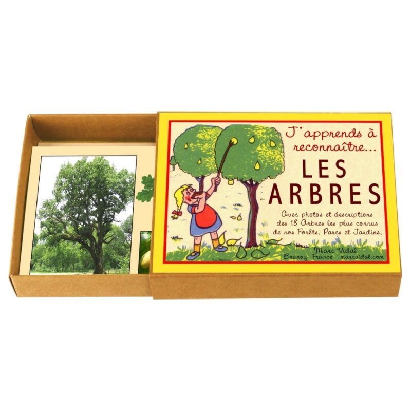 J'apprends à reconnaître les arbres - Marc Vidal, boîte éducative sur les arbres