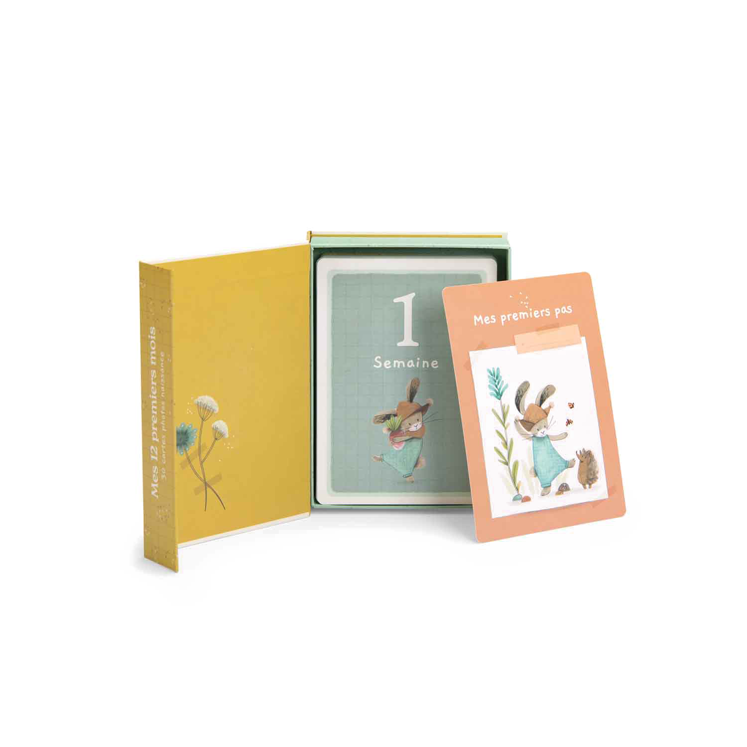 Cartes Mes 12 Premiers Mois - Trois Petits Lapins, cartes illustrées pour bébé.