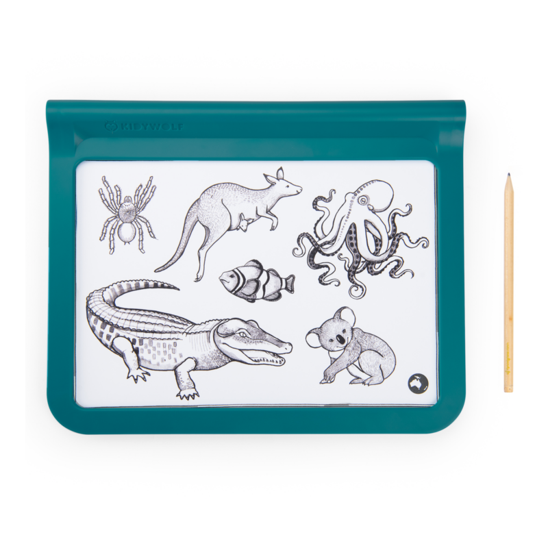 Tablette lumineuse Kidywolf x Moulin Roty avec dessins d'animaux et crayon inclus